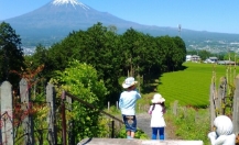 Mt.Fuji Tea Park