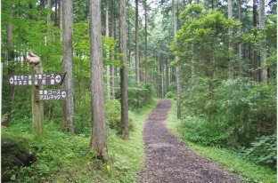 Marubi Natural Park