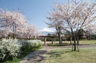 Fuji Nishi Park (Fuji West Park)