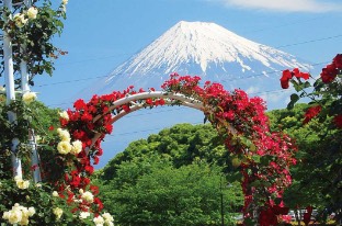 Chuo Park (Central Park)