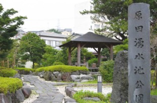 Harada Spring-Water pond Park