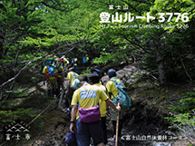 Walking the Mt. Fuji Natural Recreation Forest