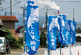 富士山しらす街道
