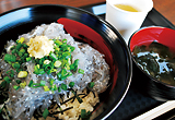 田子の浦港「漁協食堂」