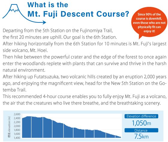 What is the Mt. Fuji Descent Course?